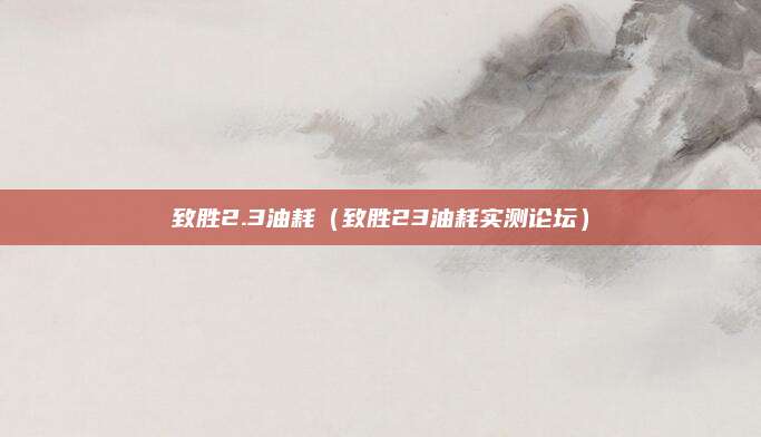 致胜2.3油耗(致胜23油耗实测论坛)
