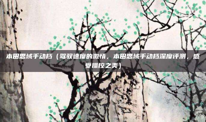 本田思域手动档（驾驭速度的激情，本田思域手动档深度评测，感受操控之美）