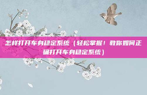 怎样打开车身稳定系统（轻松掌握！教你如何正确打开车身稳定系统）