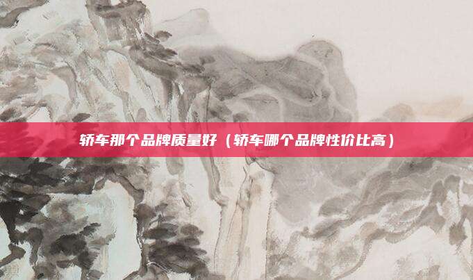 轿车那个品牌质量好(轿车哪个品牌性价比高)