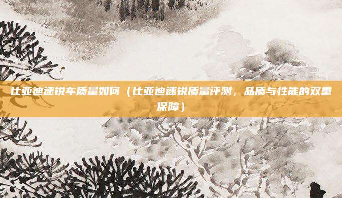 比亚迪速锐车质量如何(比亚迪速锐质量评测,品质与性能的双重保障)