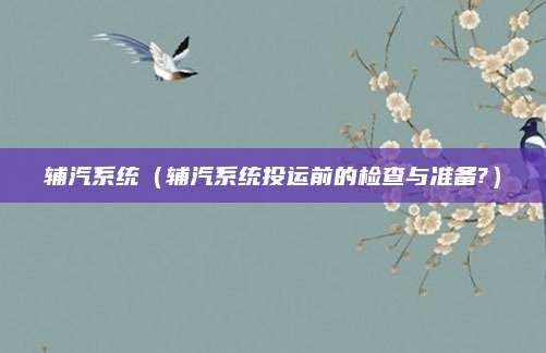 辅汽系统（辅汽系统投运前的检查与准备?）