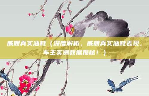 威朗真实油耗（深度解析，威朗真实油耗表现，车主实测数据揭秘！）
