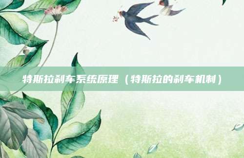 特斯拉刹车系统原理(特斯拉的刹车机制)