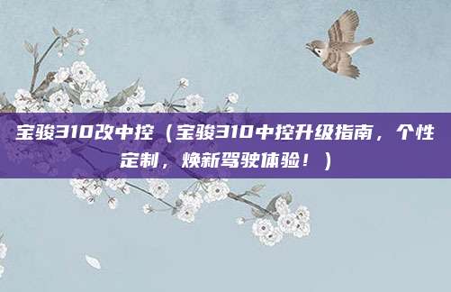 宝骏310改中控(宝骏310中控升级指南,个性定制,焕新驾驶体验!)