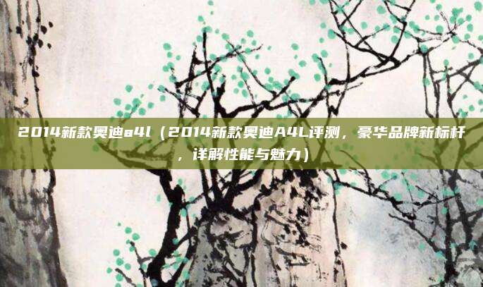 2014新款奥迪a4l（2014新款奥迪A4L评测，豪华品牌新标杆，详解性能与魅力）