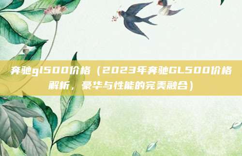 奔驰gl500价格（2023年奔驰GL500价格解析，豪华与性能的完美融合）