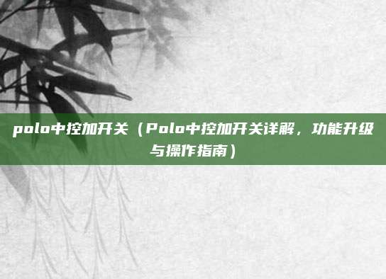 polo中控加开关（Polo中控加开关详解，功能升级与操作指南）