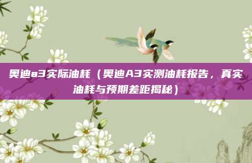 奥迪a3实际油耗（奥迪A3实测油耗报告，真实油耗与预期差距揭秘）