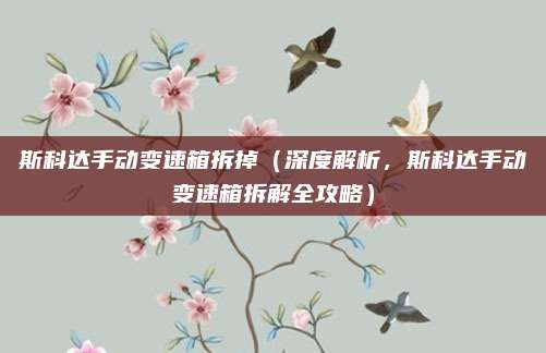 斯科达手动变速箱拆掉(深度解析,斯科达手动变速箱拆解全攻略)