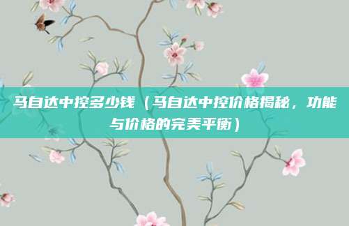 马自达中控多少钱(马自达中控价格揭秘,功能与价格的完美平衡)