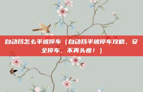 自动挡怎么半坡停车（自动挡半坡停车攻略，安全停车，不再头疼！）
