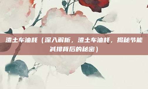 渣土车油耗(深入解析,渣土车油耗,揭秘节能减排背后的秘密)