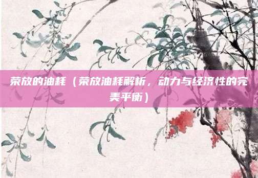 荣放的油耗（荣放油耗解析，动力与经济性的完美平衡）