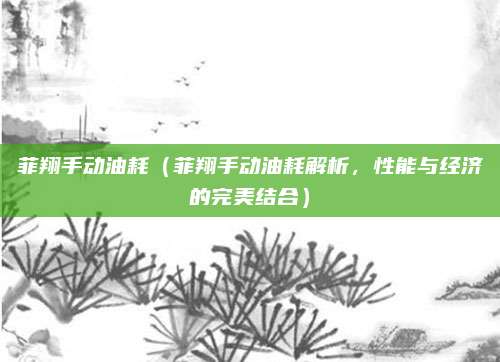 菲翔手动油耗(菲翔手动油耗解析,性能与经济的完美结合)