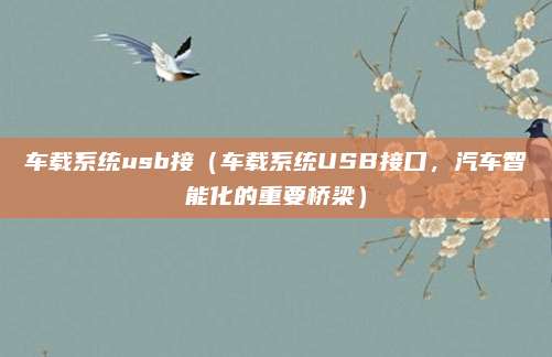 车载系统usb接(车载系统USB接口,汽车智能化的重要桥梁)