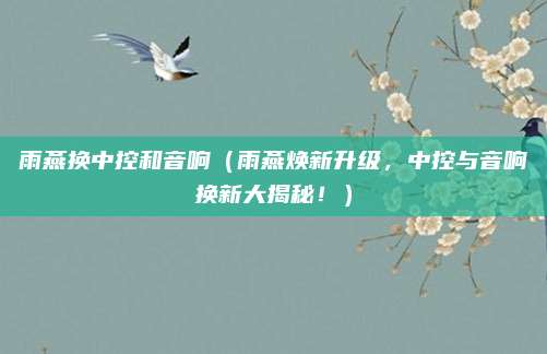 雨燕换中控和音响(雨燕焕新升级,中控与音响换新大揭秘!)