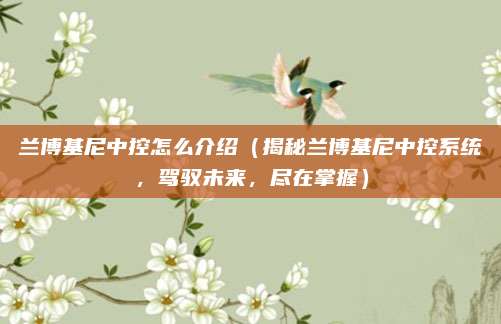 兰博基尼中控怎么介绍(揭秘兰博基尼中控系统,驾驭未来,尽在掌握)