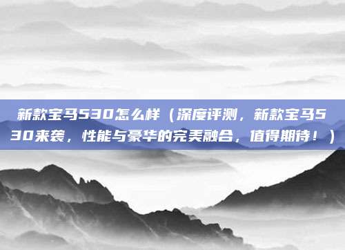 新款宝马530怎么样(深度评测,新款宝马530来袭,性能与豪华的完美融合,值得期待!)