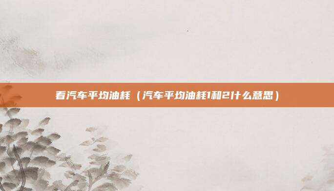 看汽车平均油耗(汽车平均油耗1和2什么意思)
