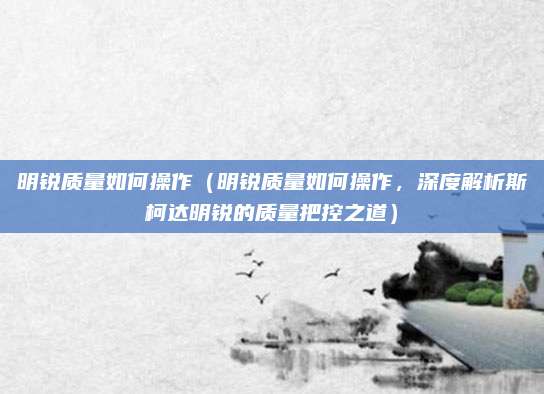 明锐质量如何操作(明锐质量如何操作,深度解析斯柯达明锐的质量把控之道)
