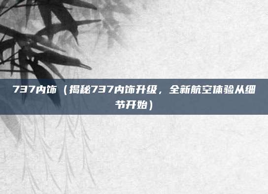 737内饰(揭秘737内饰升级,全新航空体验从细节开始)