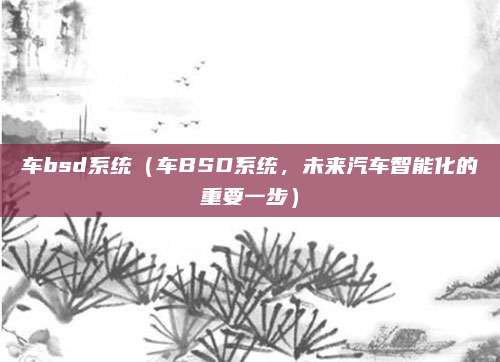 车bsd系统(车BSD系统,未来汽车智能化的重要一步)