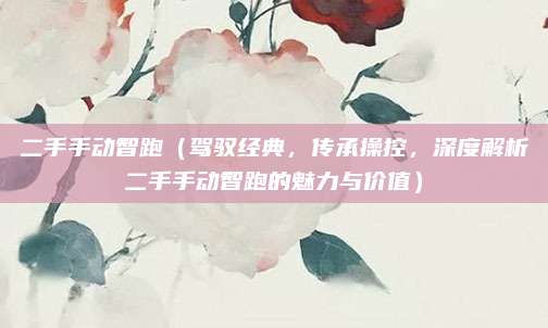 二手手动智跑(驾驭经典,传承操控,深度解析二手手动智跑的魅力与价值)