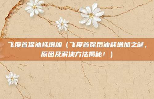 飞度首保油耗增加(飞度首保后油耗增加之谜,原因及解决方法揭秘!)