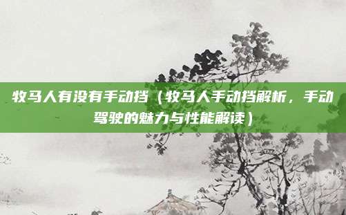 牧马人有没有手动挡(牧马人手动挡解析,手动驾驶的魅力与性能解读)