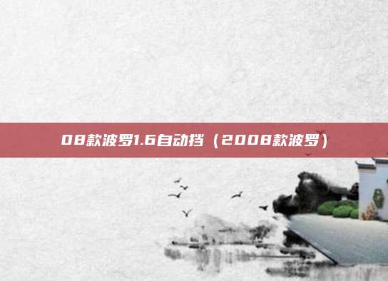 08款波罗1.6自动挡(2008款波罗)