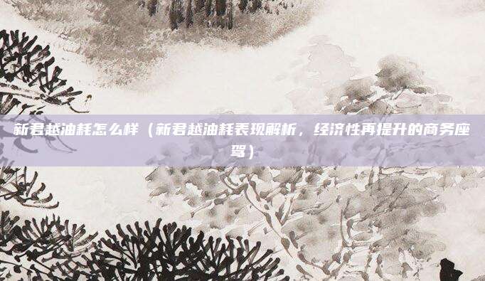 新君越油耗怎么样(新君越油耗表现解析,经济性再提升的商务座驾)