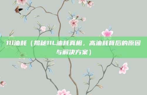 11l油耗(揭秘11L油耗真相,高油耗背后的原因与解决方案)