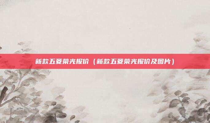 新款五菱荣光报价(新款五菱荣光报价及图片)