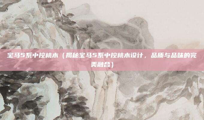 宝马5系中控桃木（揭秘宝马5系中控桃木设计，品质与品味的完美融合）