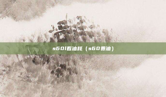 s60l看油耗(s60费油)