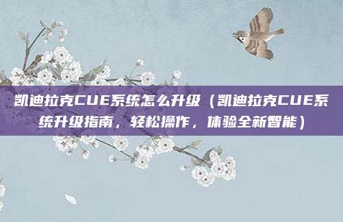凯迪拉克CUE系统怎么升级(凯迪拉克CUE系统升级指南,轻松操作,体验全新智能)