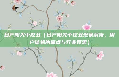 日产阳光中控丑(日产阳光中控丑现象解析,用户体验的痛点与行业反思)