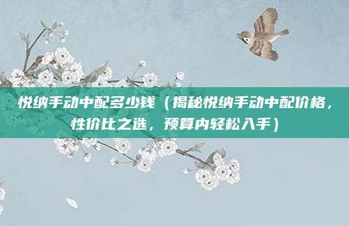 悦纳手动中配多少钱(揭秘悦纳手动中配价格,性价比之选,预算内轻松入手)