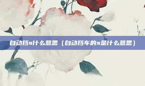 自动挡s什么意思(自动挡车的s是什么意思)