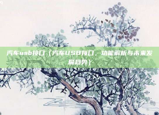 汽车usb接口(汽车USB接口,功能解析与未来发展趋势)
