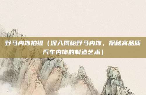 野马内饰拍摄(深入揭秘野马内饰,探秘高品质汽车内饰的制造艺术)