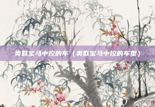类似宝马中控的车(类似宝马中控的车型)
