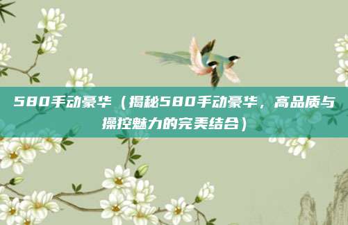 580手动豪华(揭秘580手动豪华,高品质与操控魅力的完美结合)