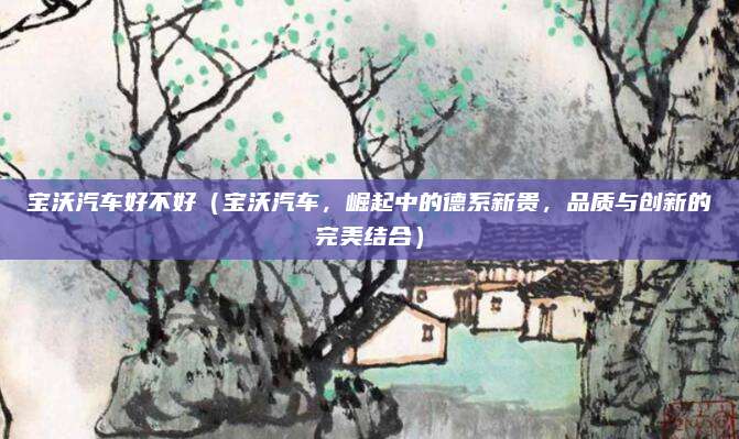 宝沃汽车好不好(宝沃汽车,崛起中的德系新贵,品质与创新的完美结合)