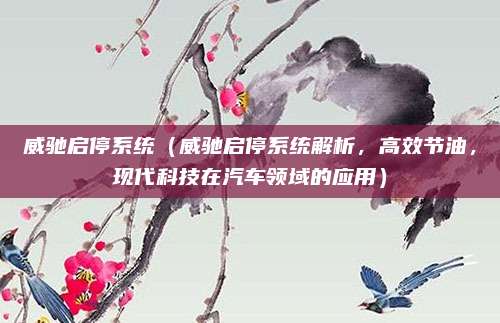 威驰启停系统(威驰启停系统解析,高效节油,现代科技在汽车领域的应用)