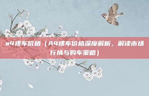 a4裸车价格(A4裸车价格深度解析,解读市场行情与购车策略)