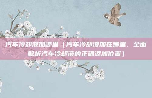 汽车冷却液加哪里（汽车冷却液加在哪里，全面解析汽车冷却液的正确添加位置）