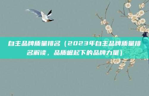 自主品牌质量排名(2023年自主品牌质量排名解读,品质崛起下的品牌力量)