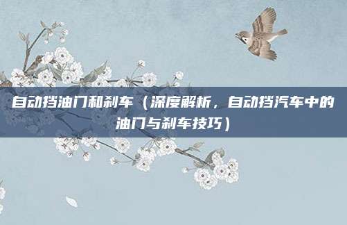 自动挡油门和刹车(深度解析,自动挡汽车中的油门与刹车技巧)
